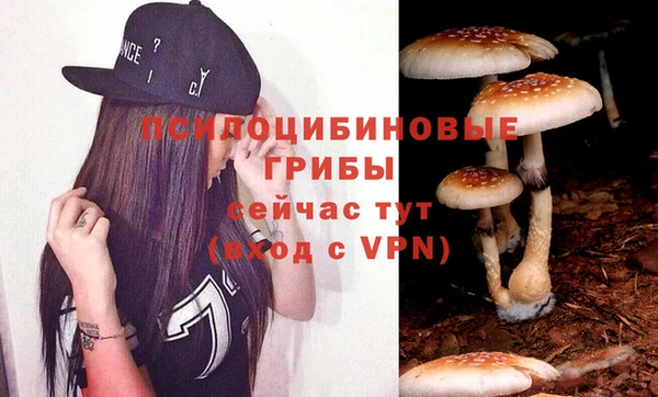 кокаин колумбия Алзамай